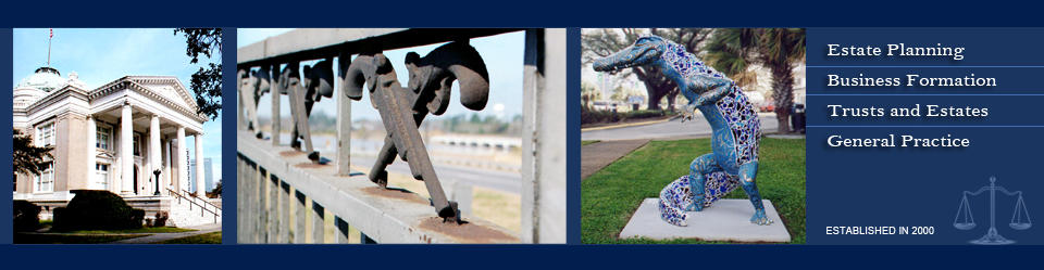 Banner Image 1